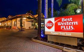 Best Western Plus Pepper Tree Inn Santa Barbara Ca